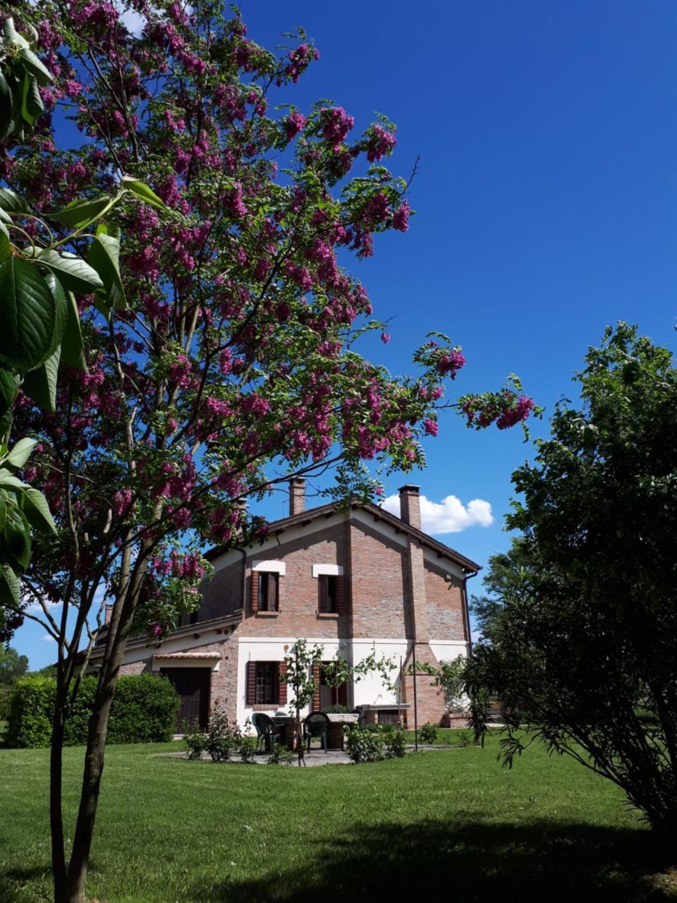 Barchessa Da Rio Villa Ponte San Nicolo Exterior photo